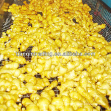 export standard fresh ginger